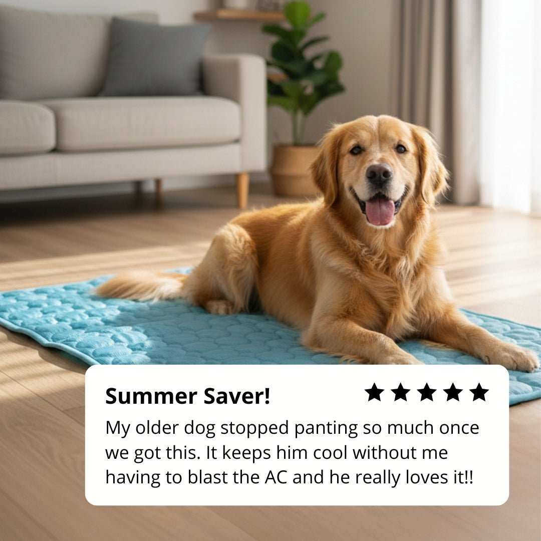 CoolPaws dog customer review