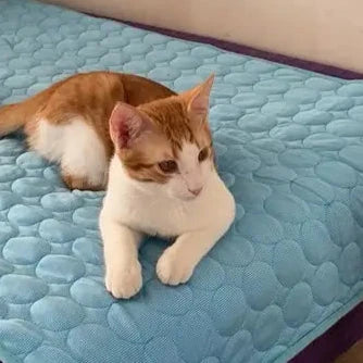 Jasper relaxing on a CoolPaws cooling mat