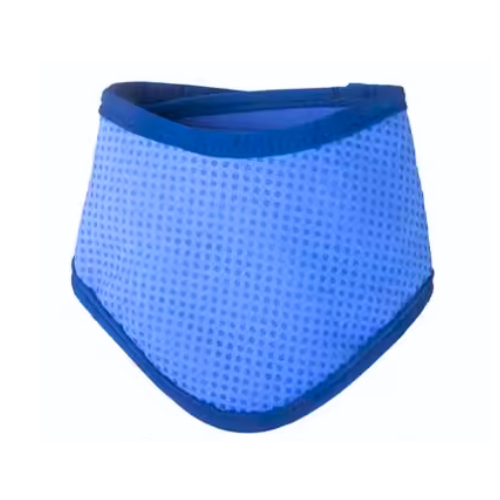 Ice Silk Cooling Bandana gift