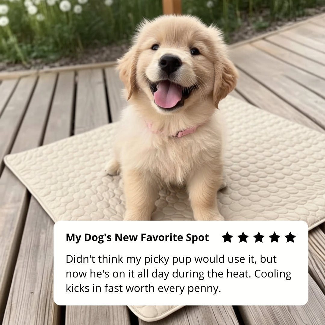 CoolPaws dog customer review