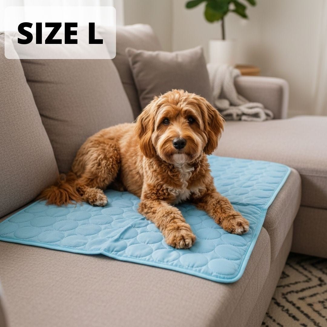 CoolPaws dog mat size L