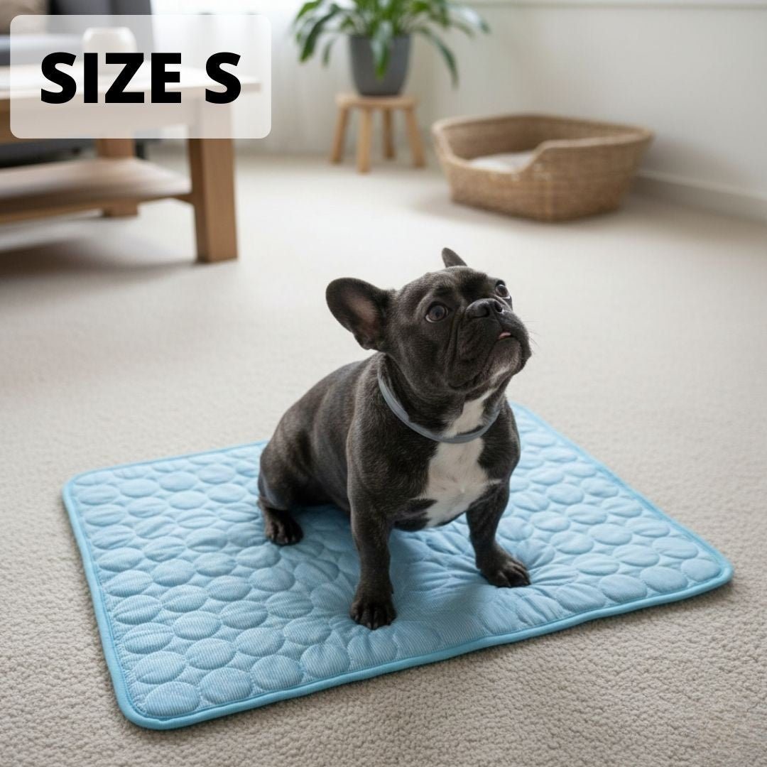 CoolPaws dog mat size S