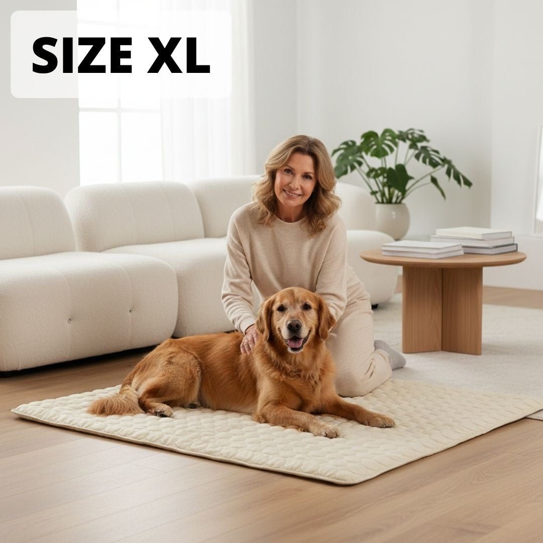 CoolPaws dog mat size XL