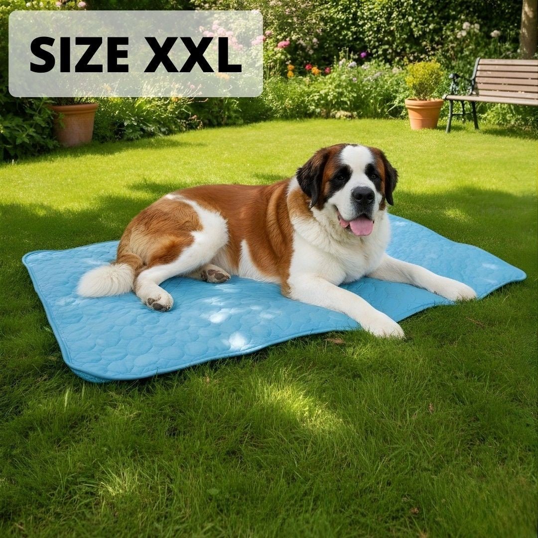 CoolPaws dog mat size XXL